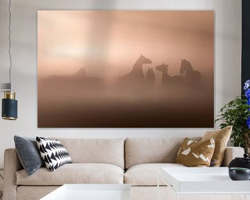 Pferde im Nebel von Berny Schop