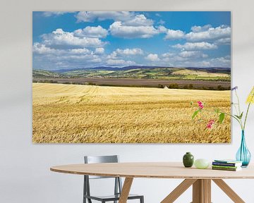 Schottische Landschaft