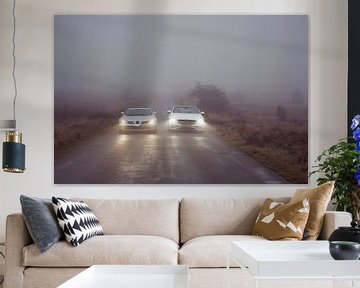 Monsters lurk in the fog van Sytse Dijkstra