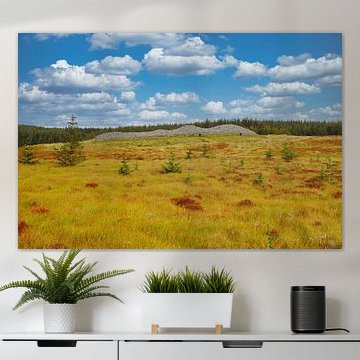 Camster Cains Scotland