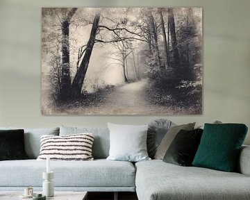 Mistig Bospad - Zwart Wit Mysterieuze Foto