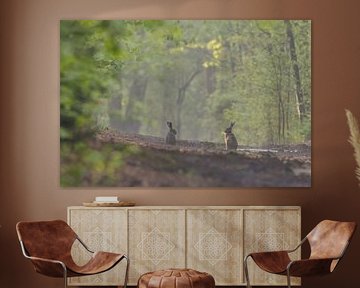 In einem grünen, grünen von Hans-Peter Nouwen