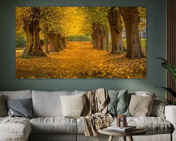 Beautiful autumn by Costas Ganasos