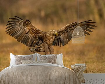 Der Adler ist gelandet!