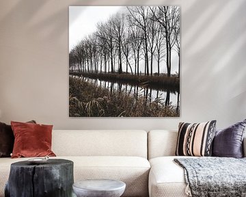 Kanal von Damme Landschaftsreflexion, Belgien von Imladris Images