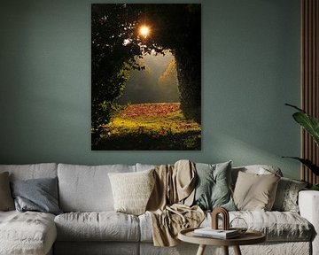 Autumnal forest clearing with golden sun