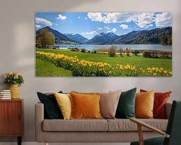 Tulpenbed in het kuurpark van Schliersee met uitzicht op de bergen