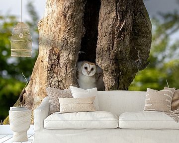 De wachters van de boomholte van Joep Hetem