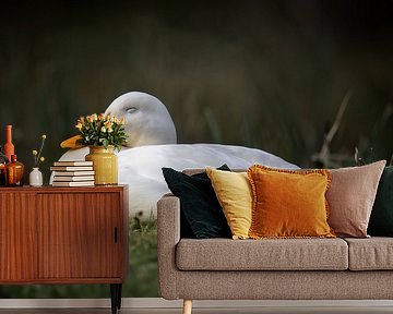 Rustmoment aan de waterkant van Joep Hetem