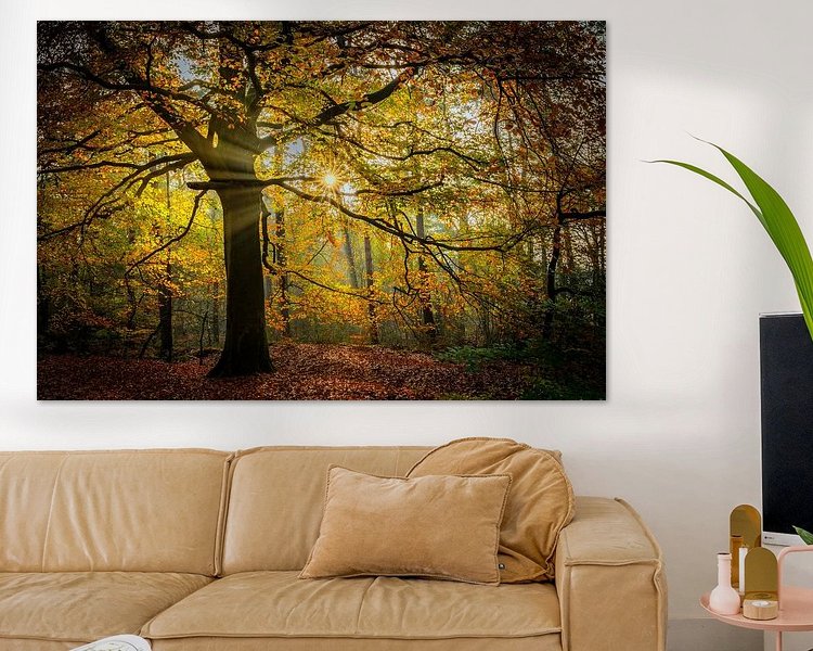 Aperçu de la chambre