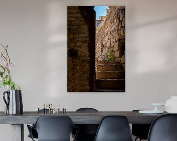 Ausgrabungen von Michelle van Merrienboer