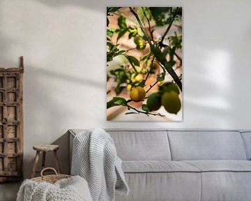 Squize by Michelle van Merrienboer