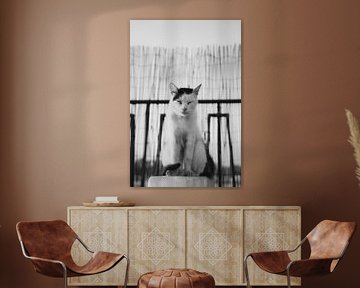 Zen by Michelle van Merrienboer