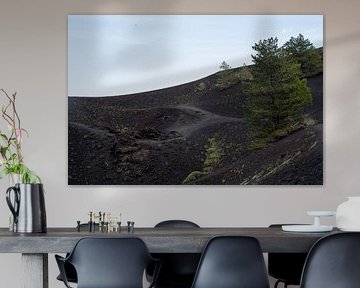 Living on the etna by Michelle van Merrienboer