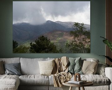 Cloudy by Michelle van Merrienboer