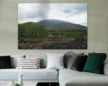 Nature etna by Michelle van Merrienboer