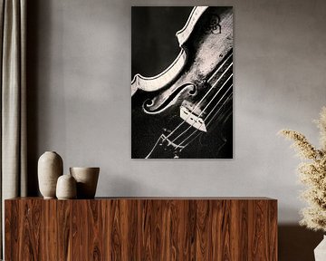 Violin by Stephan Zaun
