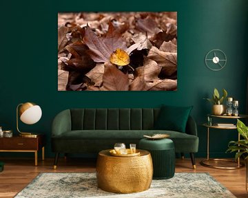 Herbst - Farben, die flüstern von Klein geluk