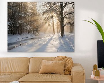 Gouden licht in het betoverende winterbos van Christina Bauer Photos