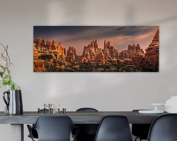 Panorama du parc de Chesler, PN de Canyonlands, Utah