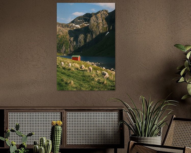 Aperçu de la chambre