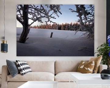 Winterlandschaft nach Sonnenuntergang in der Rhön