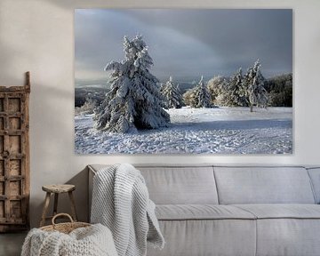 Verschneite Bäume am Kreuzberg in der Rhön