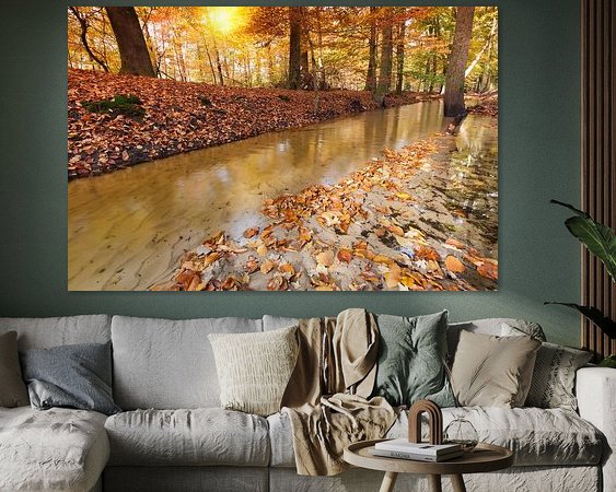 Aperçu de la chambre