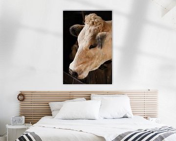 Der neugierige Blick einer Kuh mit Locken von Foto Moments by M. J. Leenders