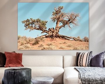 American West - Desert Tree