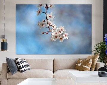 De lente is in aantocht