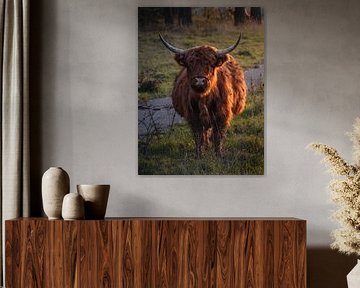 Goldener Großer Grazer