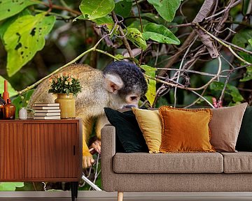 Doodshoofdaapje in de jungle