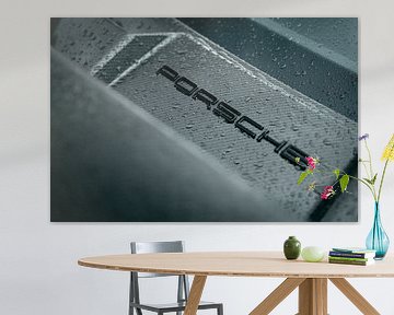 PORSCHE sur Ricardo van de Bor