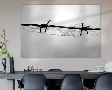 Lonely barbed wire by Arno Wolsink