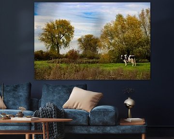 Herbstgold über dem Polder von Foto Moments by M. J. Leenders