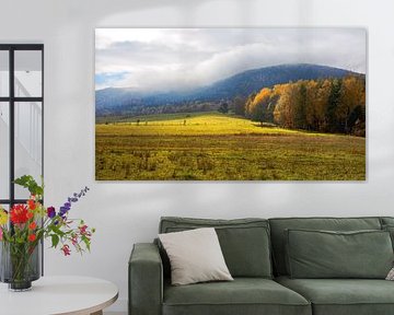 Symphonie aus Licht und Herbstfarben von AS Photography