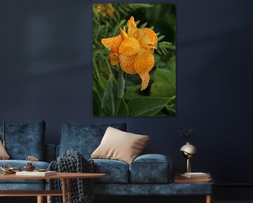 The Spotted Tropical Beauty by Foto Moments by M. J. Leenders