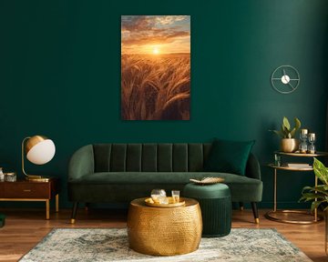 Golden fields in the warm sunset