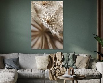 Stunning rural abstraction: Light reflects in water drops by Marjolijn van den Berg