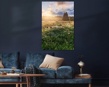 Summer morning in the Ore Mountains by Daniela Beyer