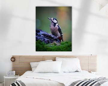 Great Spotted Woodpecker by Tom Zwerver