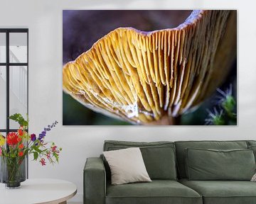 The Whisper Hat by Jos Crooymans