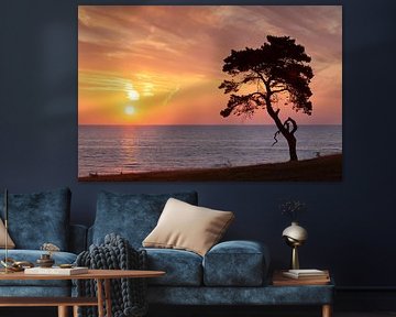 Pine Haväng by Sven-Erik Arndt