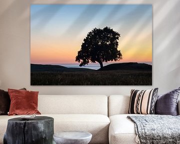 Eiche Haväng von Sven-Erik Arndt