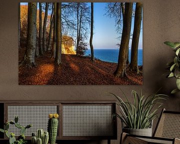 Kreidefelsen im Herbst an der Küste der Ostsee auf der Insel R von Rico Ködder