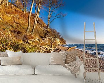 Chalk cliffs in autumn on the coast of the Baltic Sea on the island of R by Rico Ködder