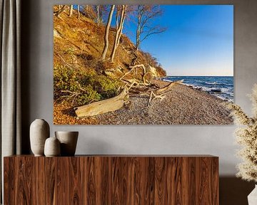 Kreidefelsen im Herbst an der Küste der Ostsee auf der Insel R von Rico Ködder