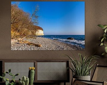Kreidefelsen im Herbst an der Küste der Ostsee auf der Insel R von Rico Ködder
