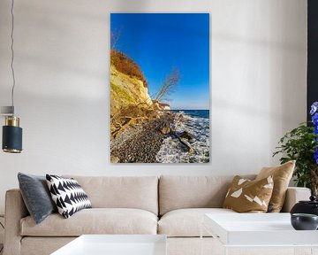 Kreidefelsen im Herbst an der Küste der Ostsee auf der Insel R von Rico Ködder